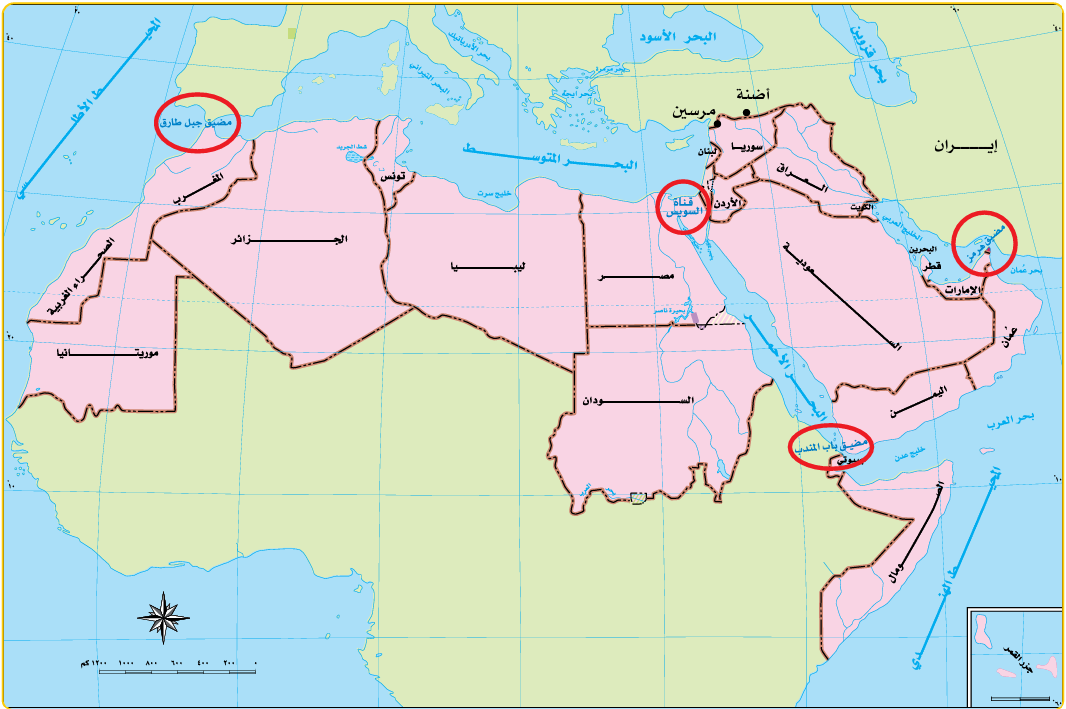 خريطة الوطن العربي السياسية